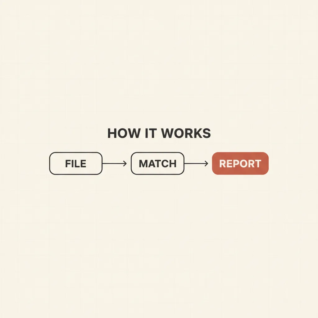 How it works: file, match, report